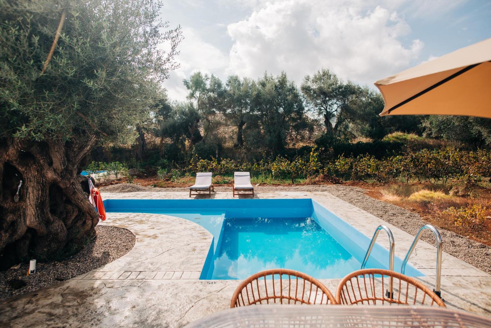 Villa Di Vino Apolpaina Экстерьер фото