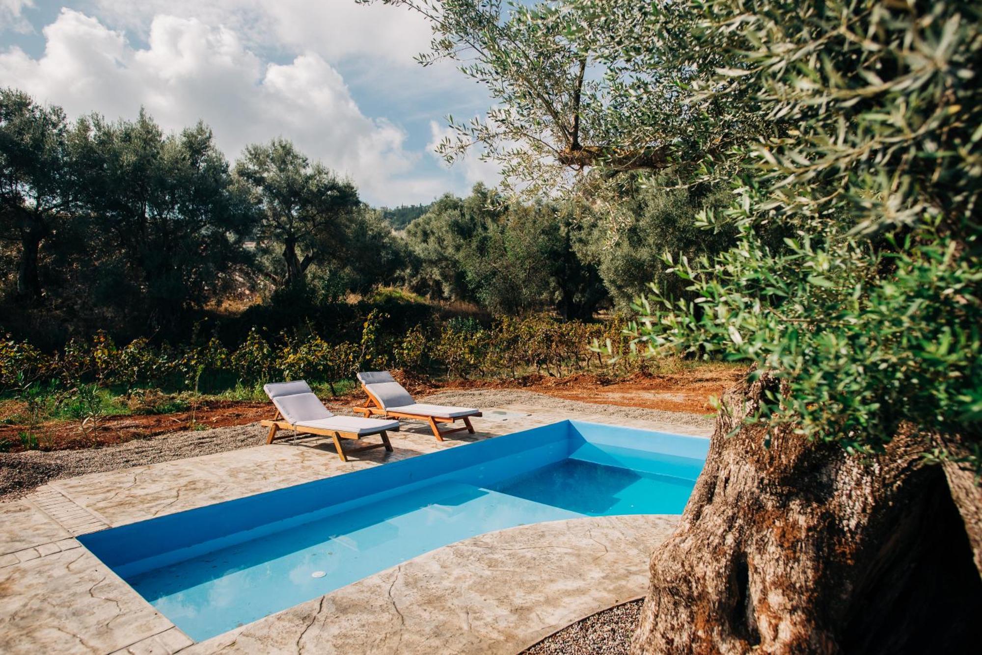 Villa Di Vino Apolpaina Экстерьер фото