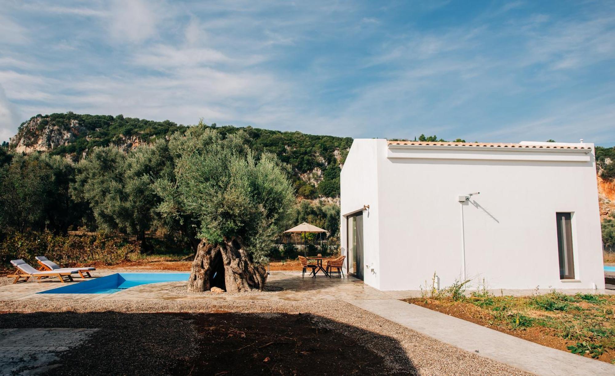 Villa Di Vino Apolpaina Экстерьер фото
